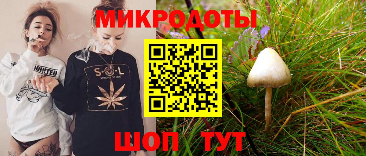 Псилоцибиновые грибы Magic Shrooms  Вход с VPN  Электросталь  Псилоцибиновые грибы MAGIC MUSHROOMS 